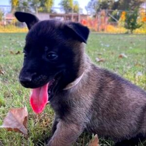 Meet your Posher, Josiah